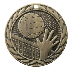 FE-Iron Medal