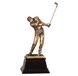 Bronze Male Golf Award