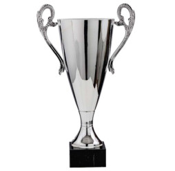 Silver Italian Cup